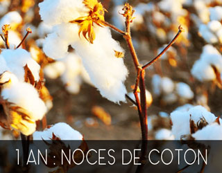 noces de coton