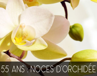 noces d'orchidée